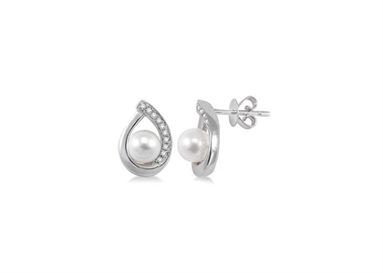 Rhodium Plated | Fashion Earrings